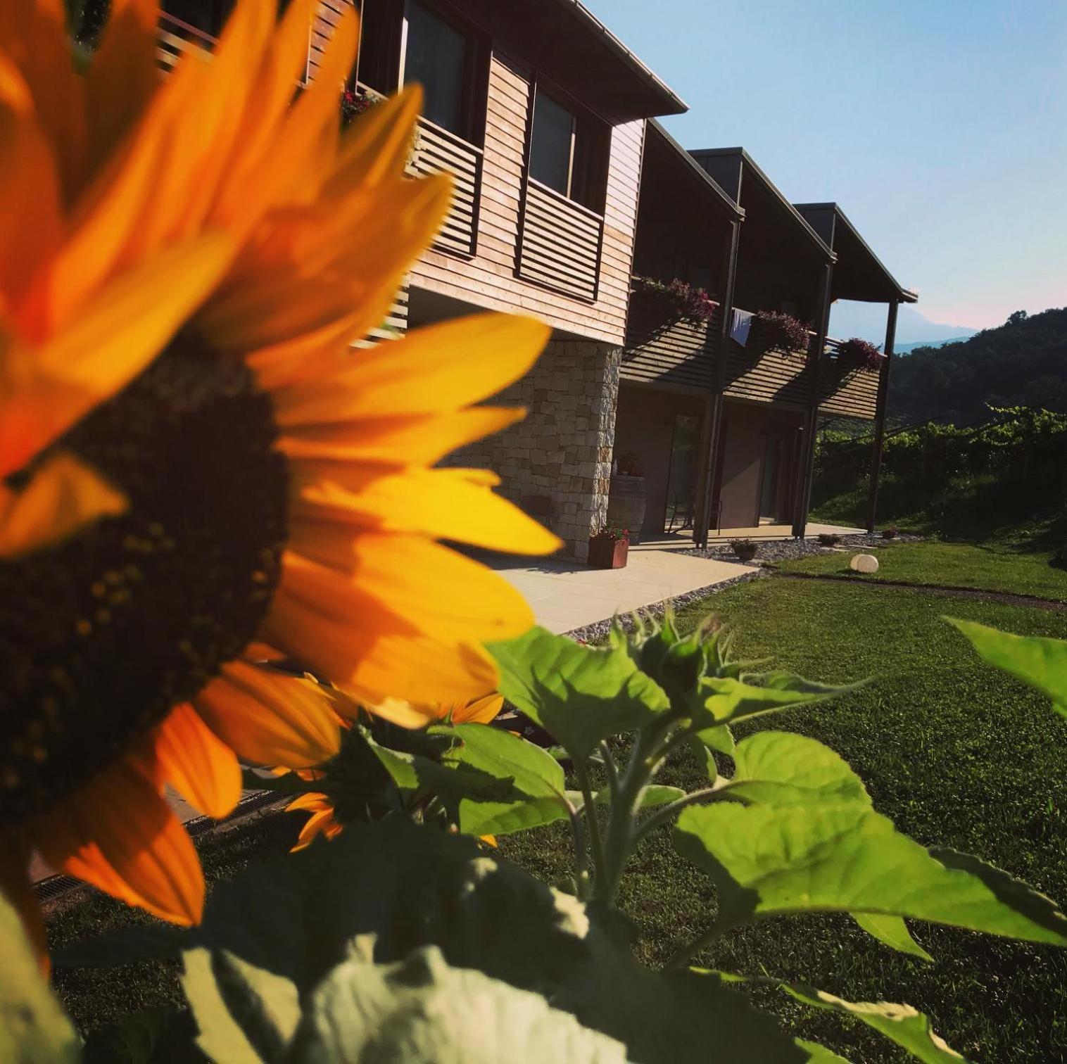 Agritur Verderame Тренто Екстериор снимка