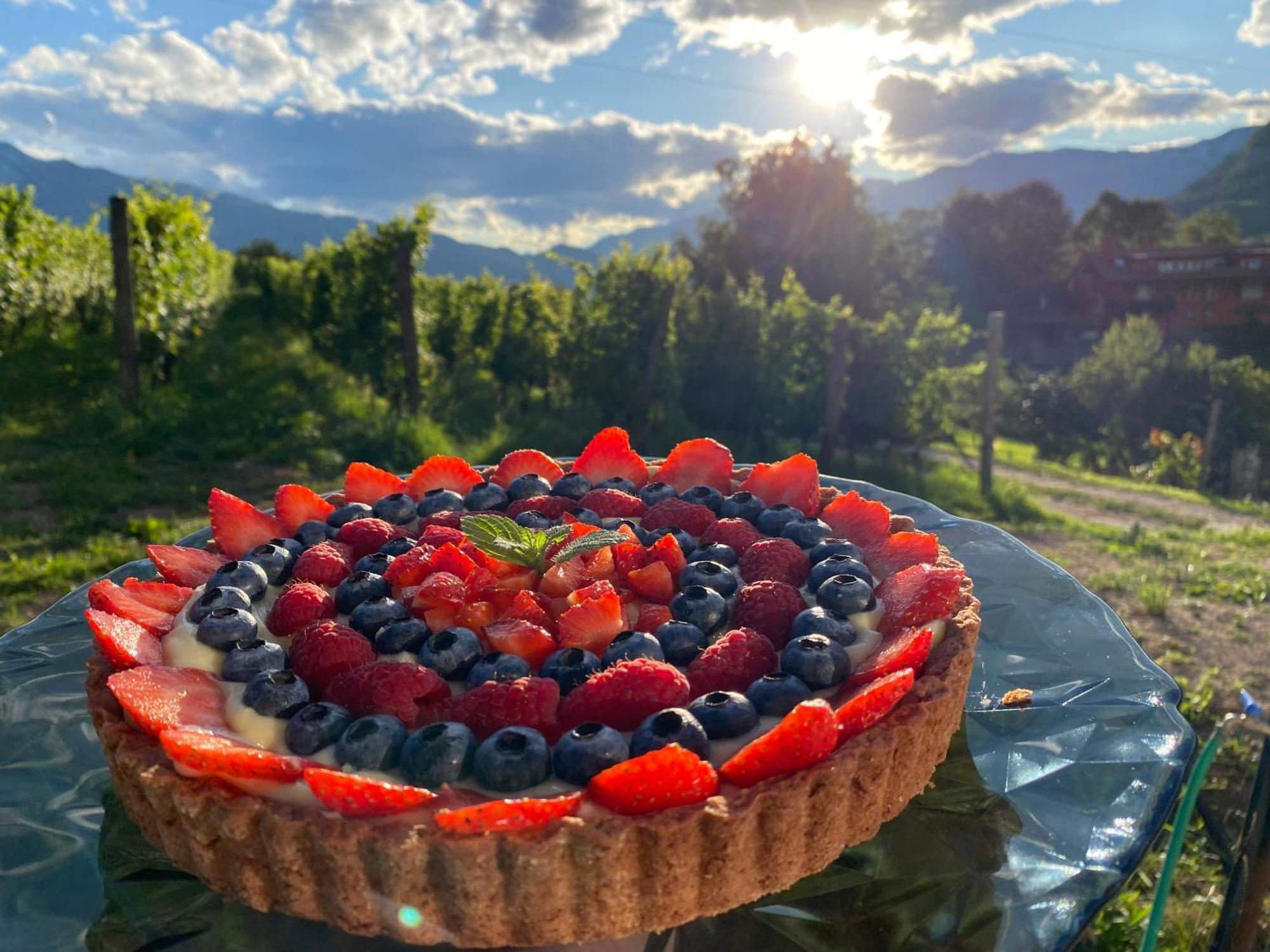 Agritur Verderame Тренто Екстериор снимка